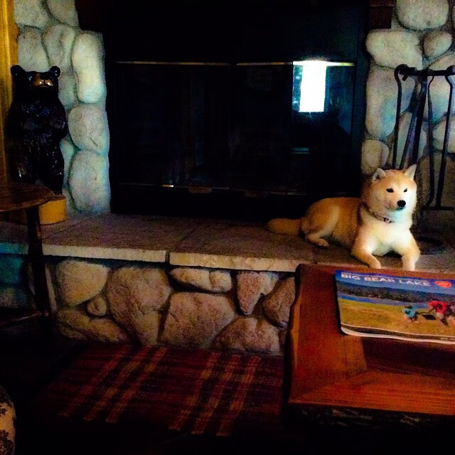 跨界传奇，皇马友谊赛对决阿尔及利亚，李刚仁替补闪耀献制胜绝杀