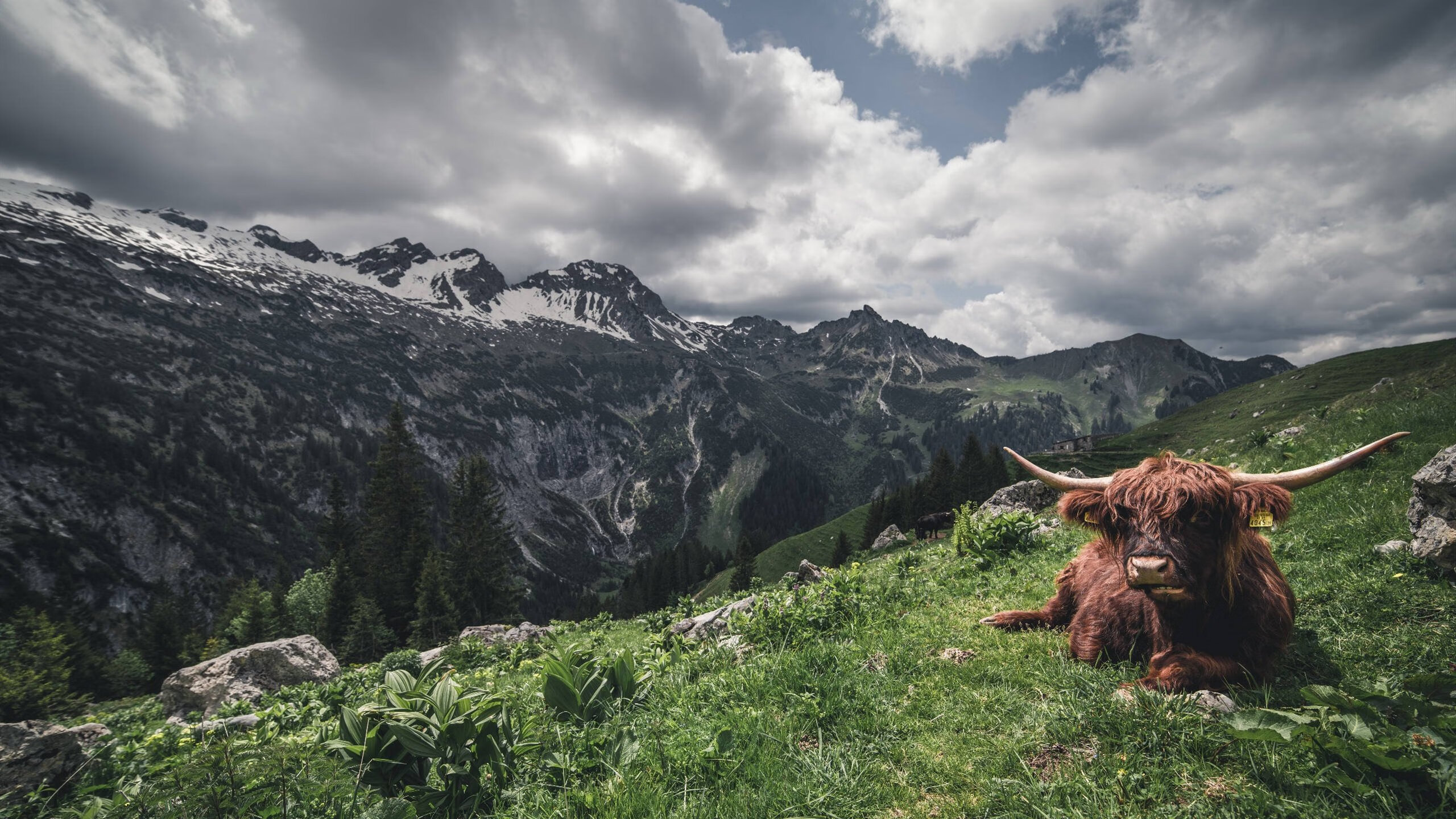 蓝色火焰撕裂东方长城,沉默的坎特在决定性10秒改写历史