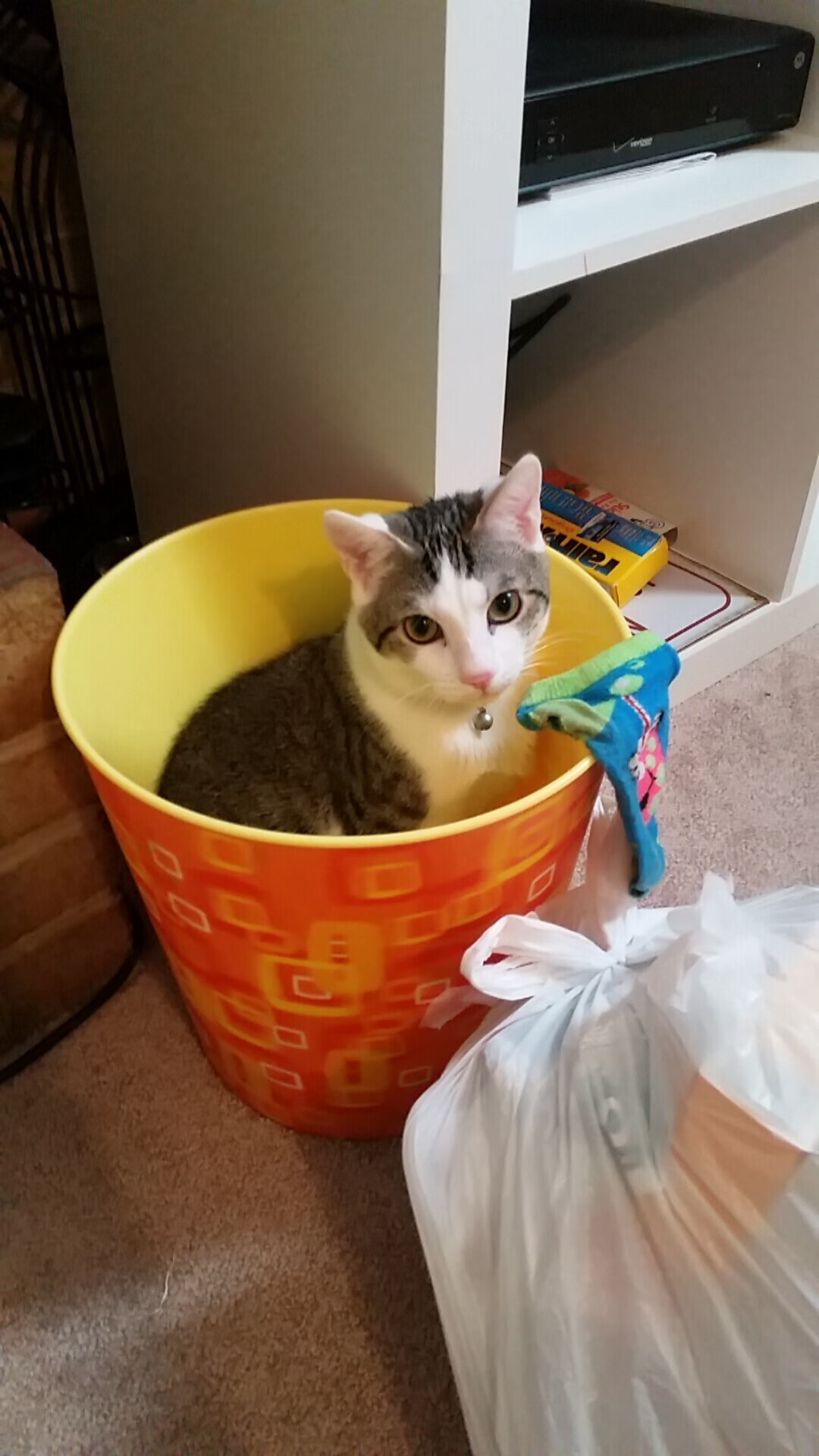 开云体育官网-冰封伯纳乌，燃烧爱丁堡，当欧冠冷静遇见国家热血