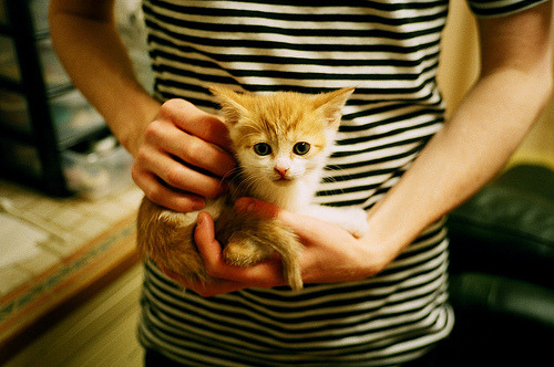 伊布爆发引领摩洛哥末节逆转，牙买加憾负—一场唯一性的足球盛宴