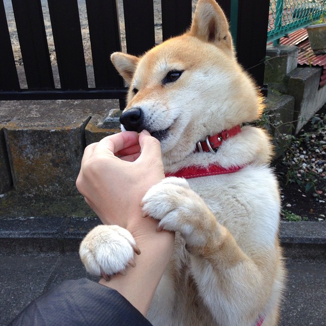 开云体育中国-平行宇宙中的绝杀，詹姆斯孤身爆发，浙江队最后时刻逆转骑士