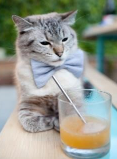 新王当立,欧冠淘汰赛之夜,萨卡比赛走势一手掌控