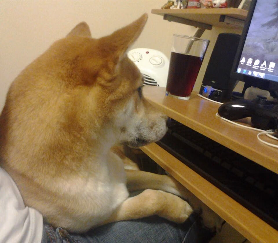 东方幻想曲,当字母哥跨越大洋点燃火箭,新疆在平行宇宙中见证巨变