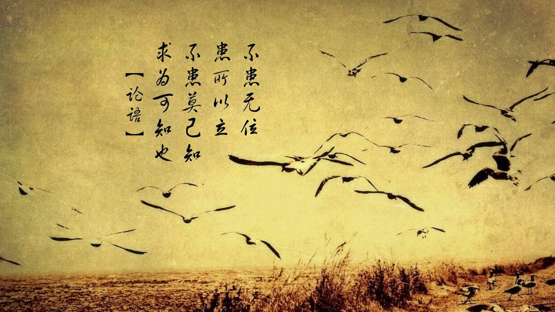 开云体育平台APP-当聚光灯聚焦于一位无争议的王者，美加墨世界杯之夜与杜兰特的封神时刻