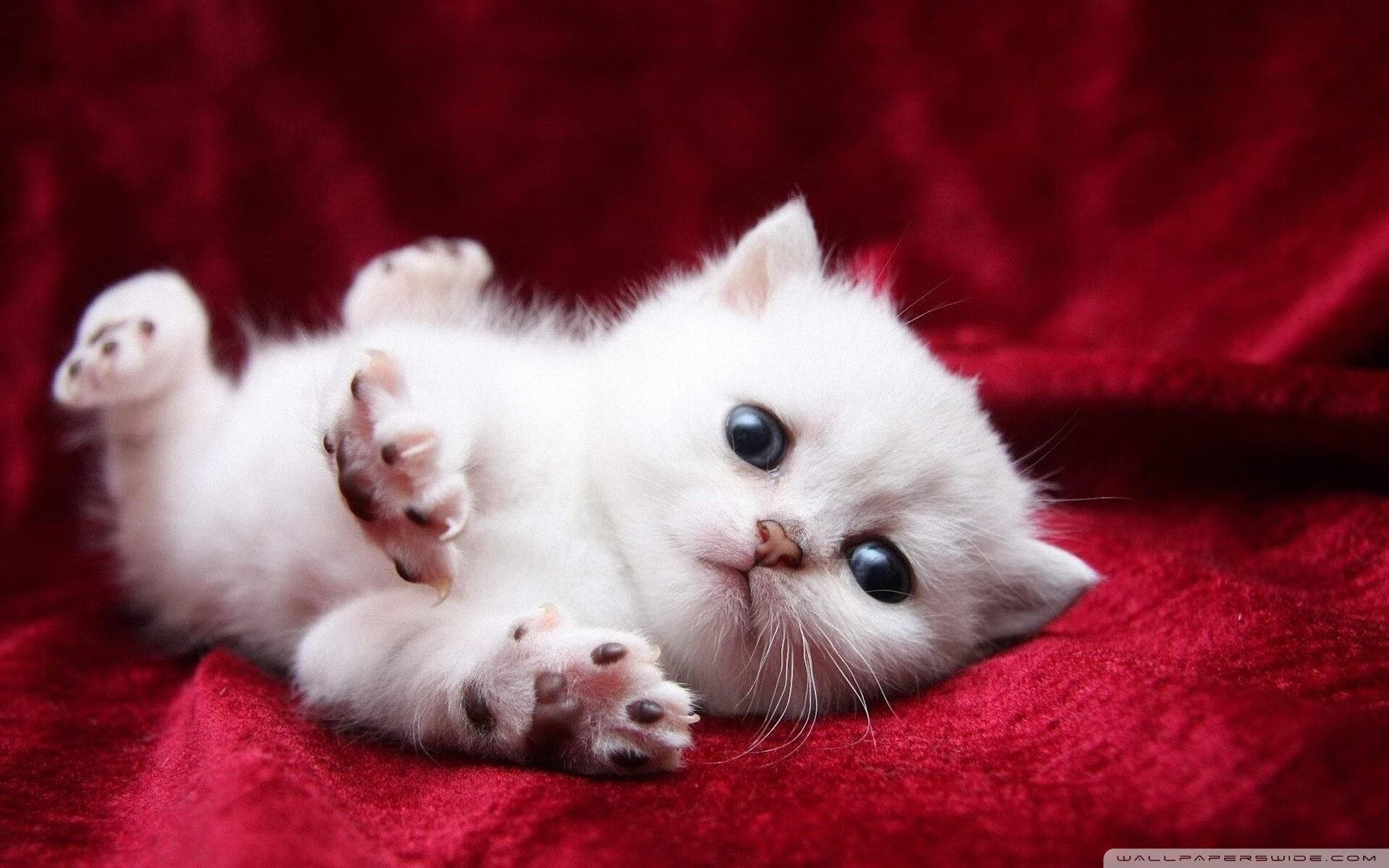 开云体育官网-拉什福德关键进球定乾坤，国际米兰强压尼斯，唯一性胜利的诠释