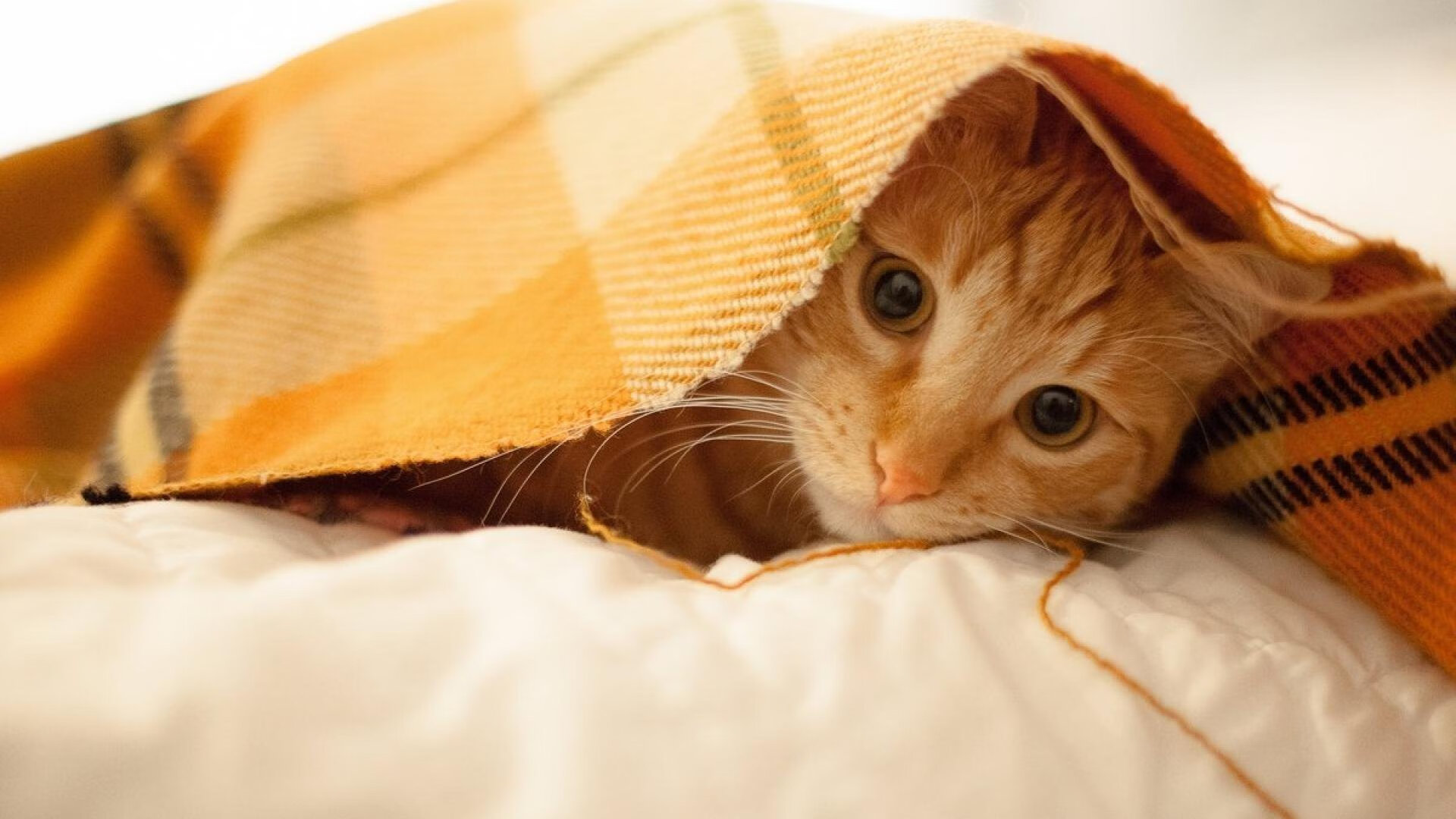 北欧寒冰最后一击，黄喜灿的绝杀时刻