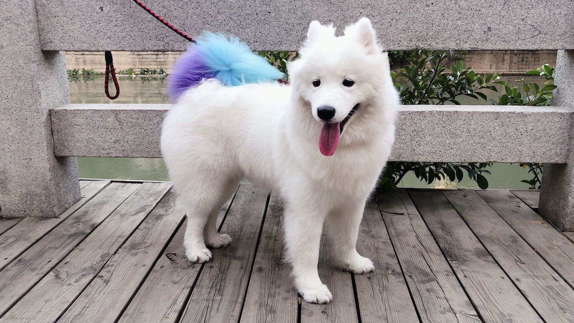 篮球场上的引力法则,班凯罗的舞台与太阳的穿透艺术