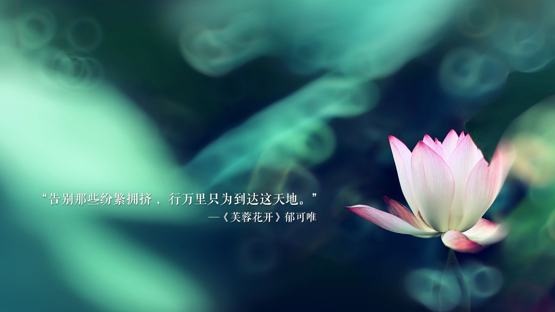火山与冰山的致命冰火,当黑马狂奔撞上王朝崩塌—拉什福德一剑封喉,秘鲁用南美烈马精神踏碎中北美无冕之王的荆棘王冠