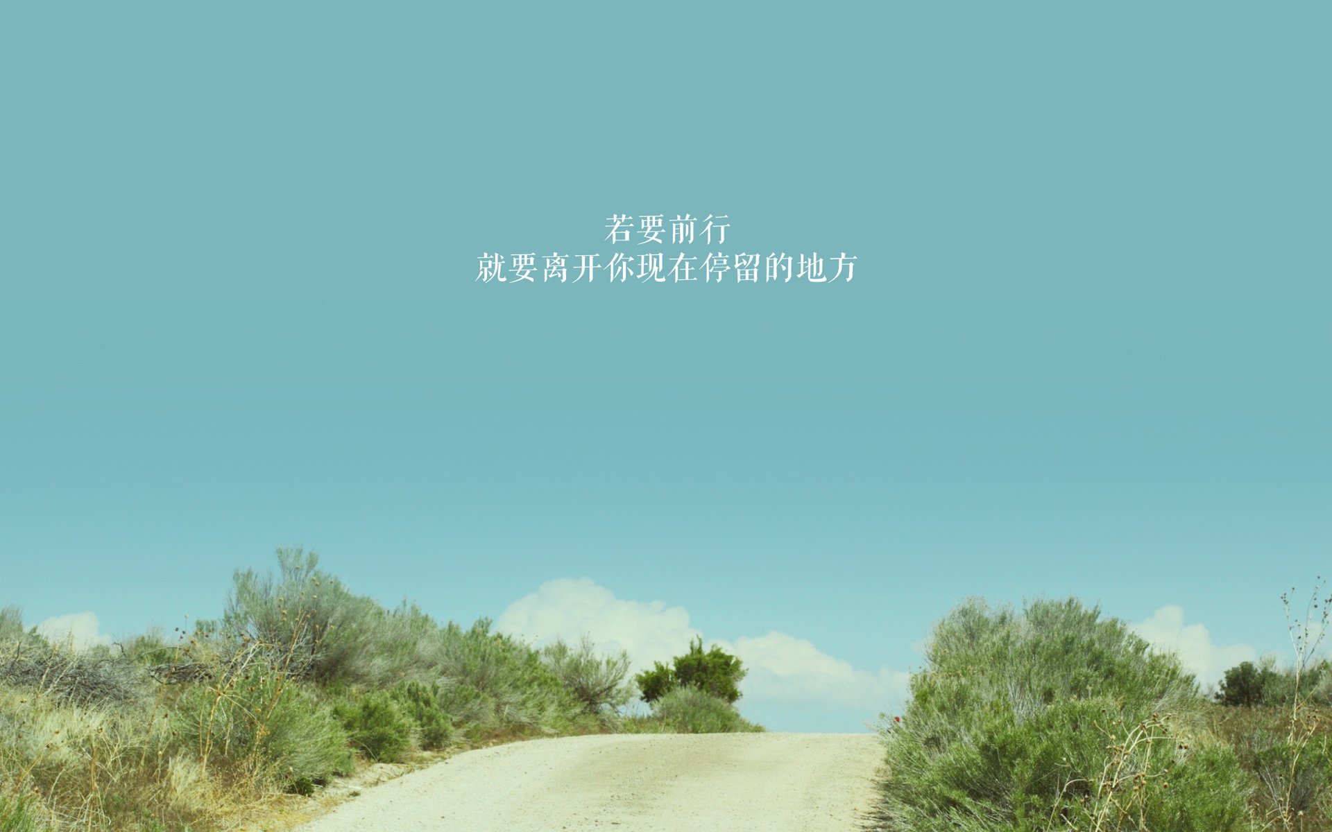唯一性,2026世界杯C组,一场由局外人坎塞洛撕裂的秩序与黑马的史诗绝唱